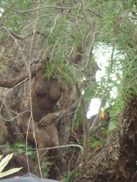 BloodWork - The Ana Mendieta Story/Photo by Gia Gross©MoveOpolis!