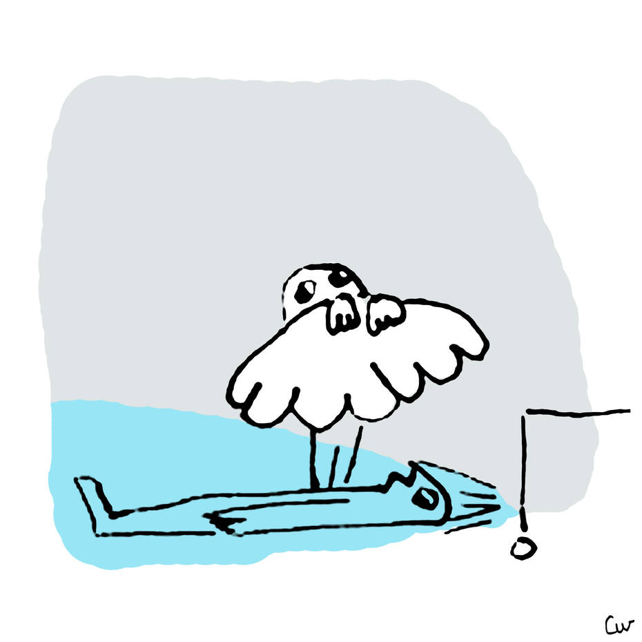 fanning-(2015-Zon-edit-(LAST-ONE-ZON-DID-ON-THURSDAY))