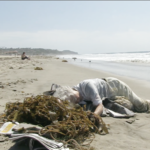 <span class='italic'>Zuma News</span> by Simone Forti - <a href="https://redesign.cathyweis.org/calendar/sundays-on-broadway-simone-forti" target="outside">February 22, 2015</a> <br/>Still from video by Simone Forti